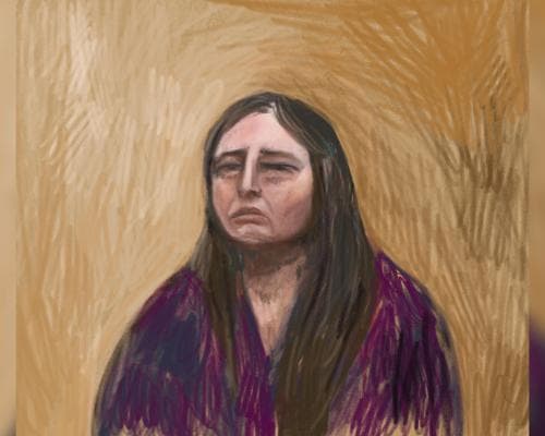 Death caps and cancer claims: how Erin Patterson responded to first day of mushroom trial cross-examination