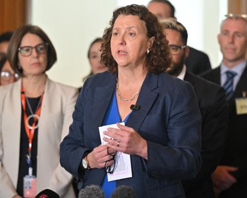Greens and independents line up to condemn Liberals’ net zero decision – as it happened